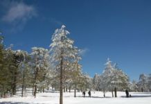 The hidden gems of the Cold Mountain