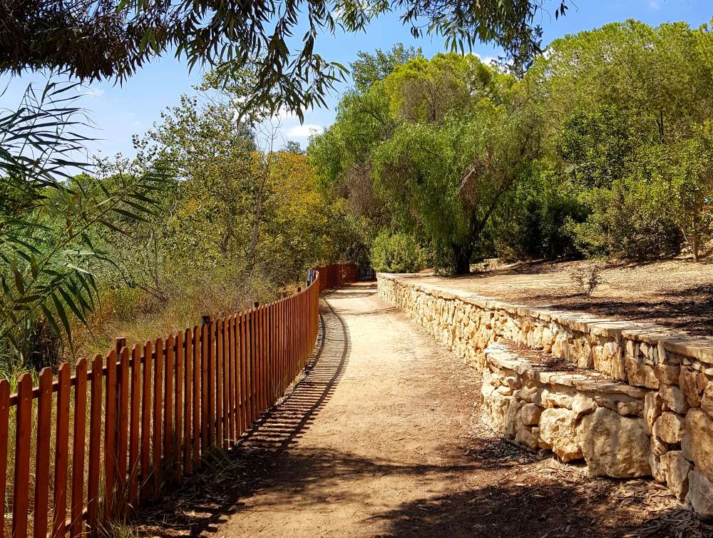 Citizens' group pushes for massive tree planting project in Nicosia
