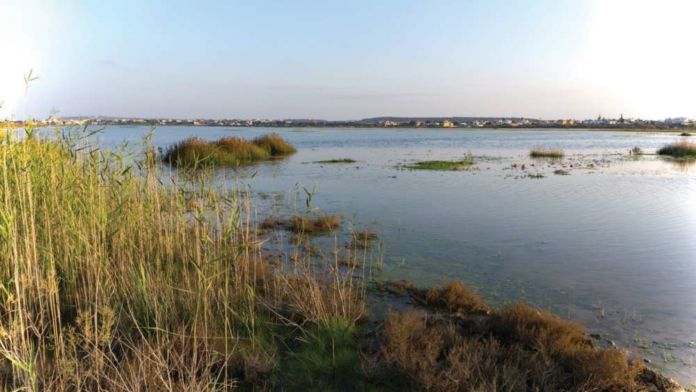 BirdLife Cyprus in new call to stop loss of water at Paralimni lake (video)
