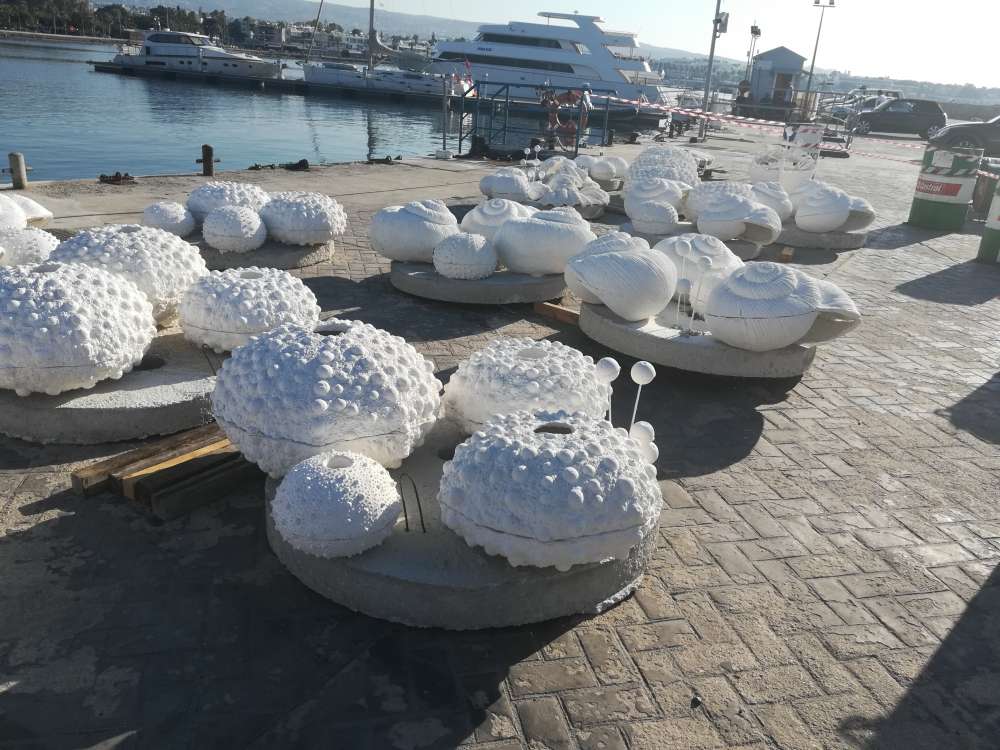 Shells Paphos Paphos: Cyprus' first snorkelling park enriched with underwater ...