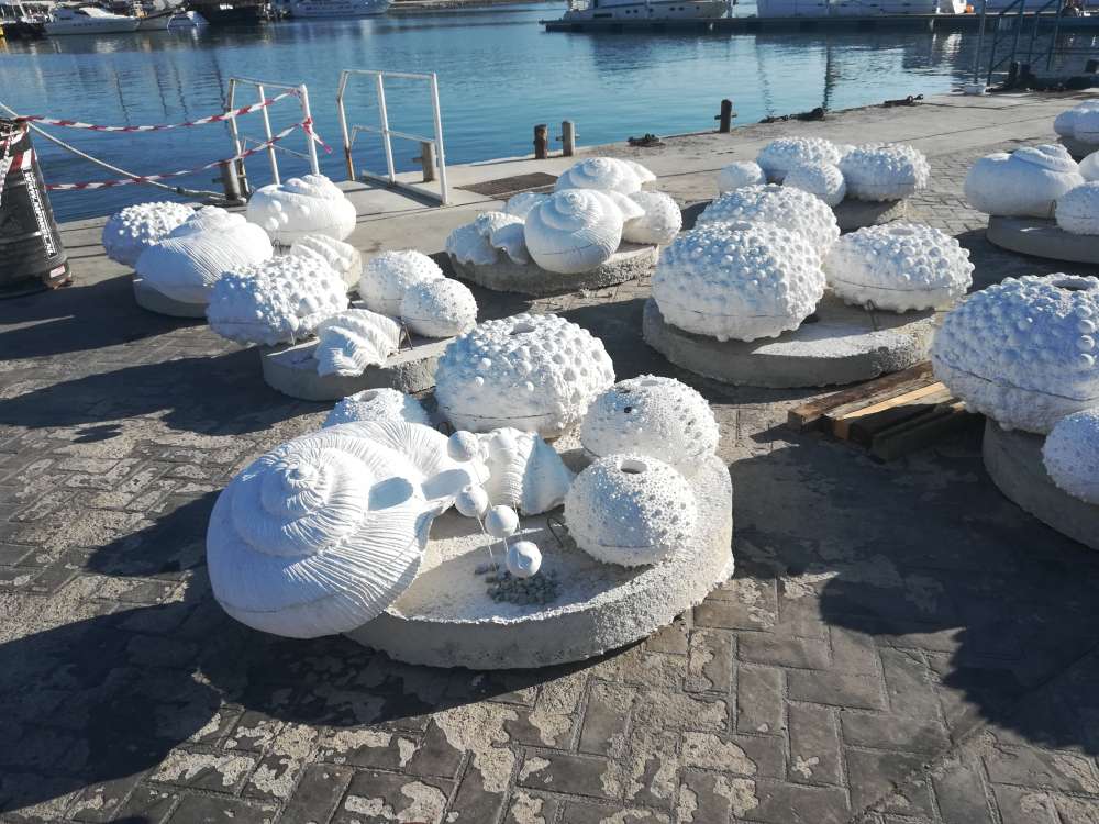 Shells Paphos Paphos: Cyprus' first snorkelling park enriched with underwater ...