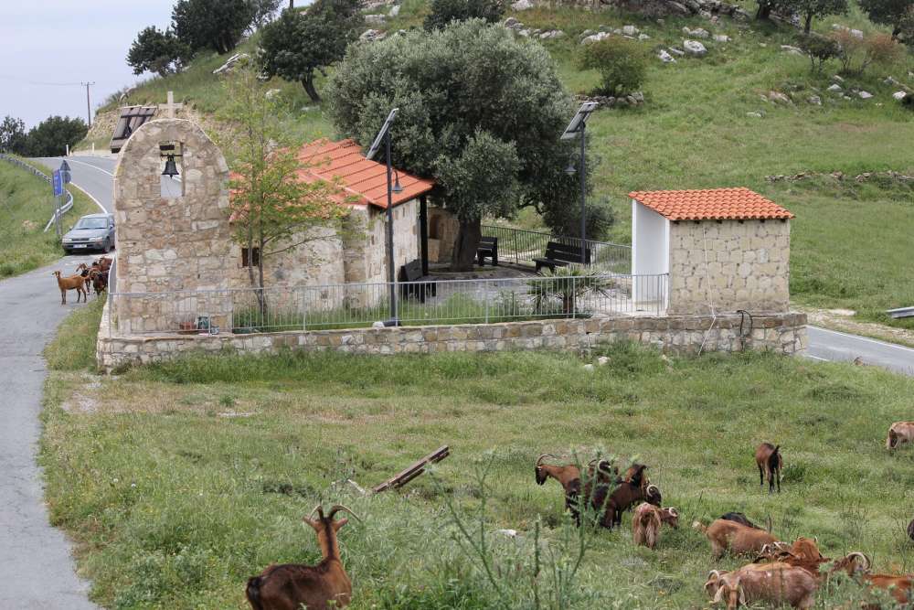 Akoursos | en.philenews.com
