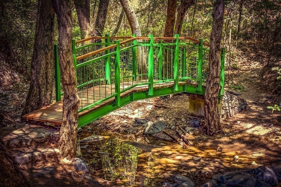 Bridge, Wooden, Creek, Trees, Scenic, Summer, Woods