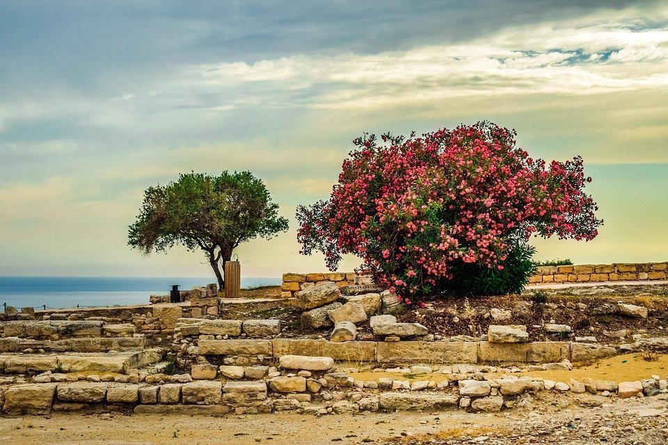 Cyprus, Kourion, Landscape, Trees, Sky, Clouds, Horizon