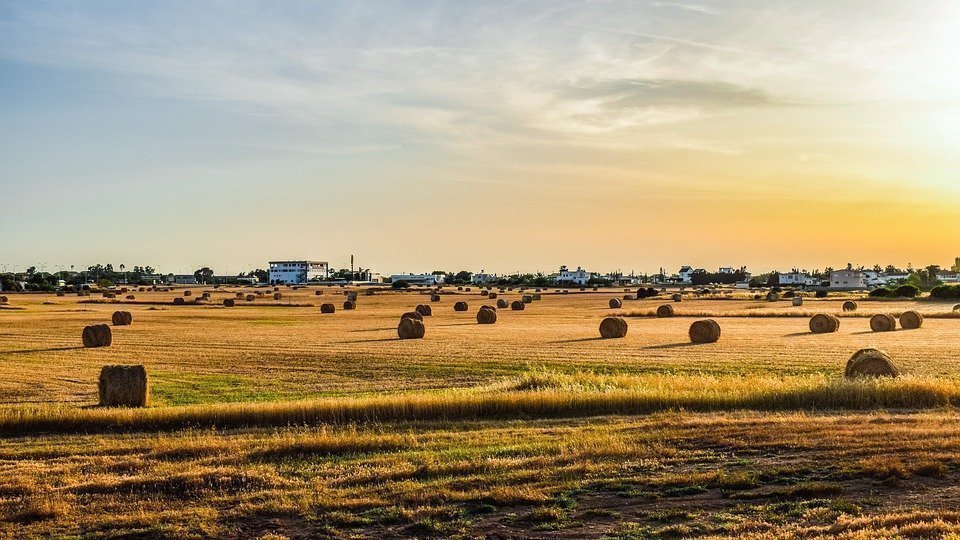 Field, Landscape, Agriculture, Farm, Nature, Rural