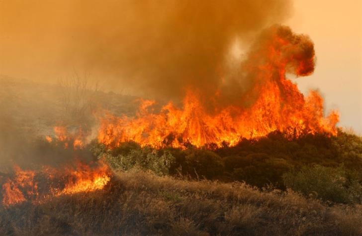 Tougher penalties eyed for arson in bid to protect forests