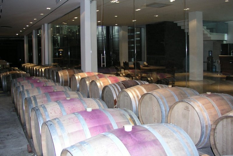 Wine Tasting in Larnaka