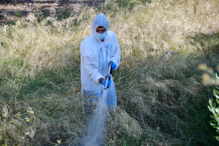 Limassol mulls use of drones to tackle mosquitoes