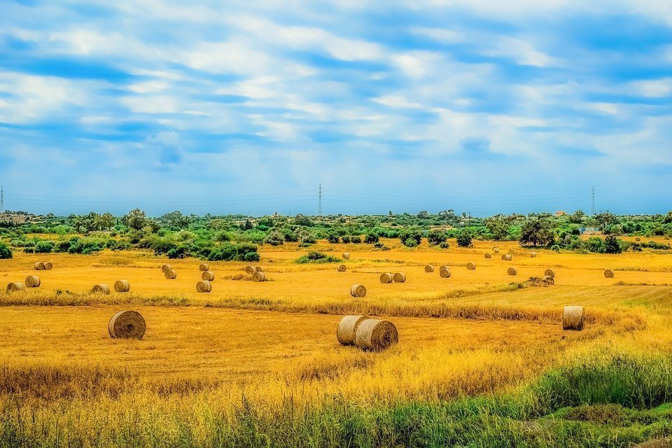 Paralimni: a hidden gem of Cyprus