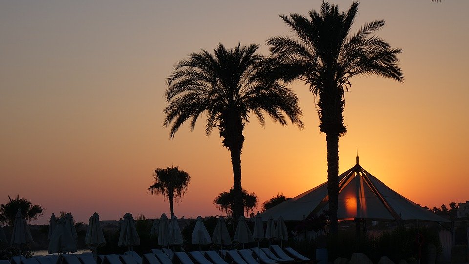 Palm Tree, Amazing, Sunset, Awesome, Nature, Landscape