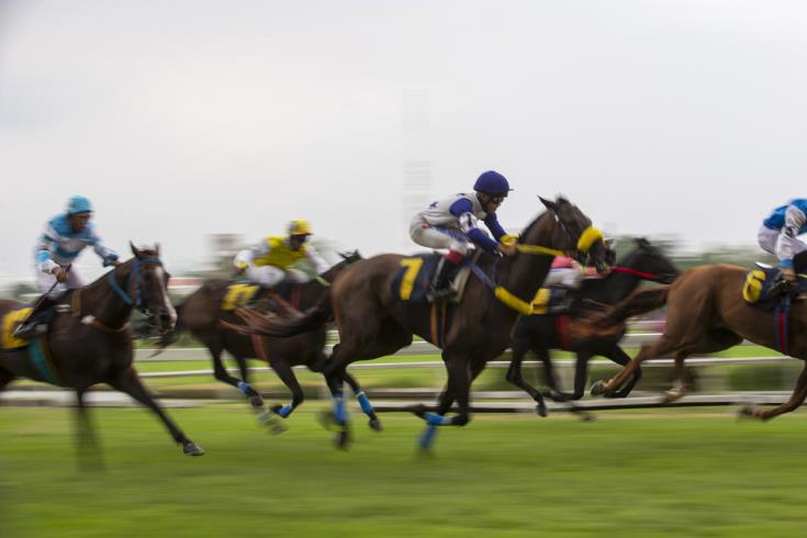 Animal Party says has video of race horse being whipped; asks for investigation