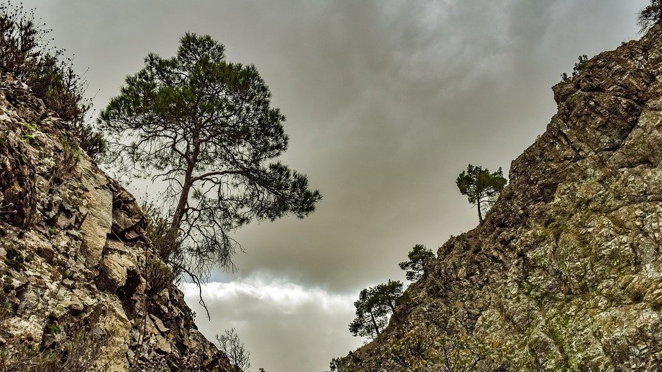 Trees, Mountain, Gorge, Cliffs, Nature, Wilderness
