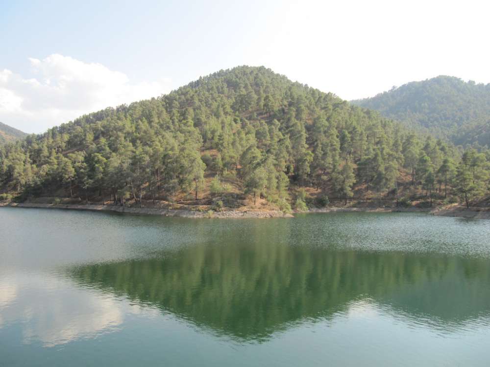 Water in dams rises to 70%; inflow on track for record year