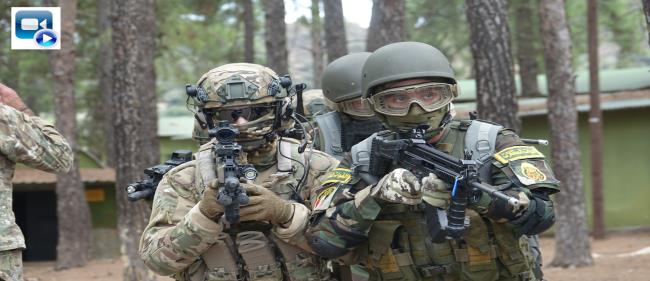 Cyprus and Egypt special forces hold joint military drill [VIDEO] | en ...