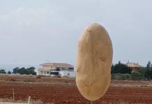Potato Effigy