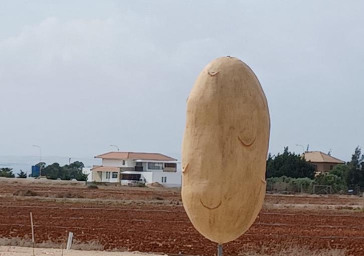Potato Effigy