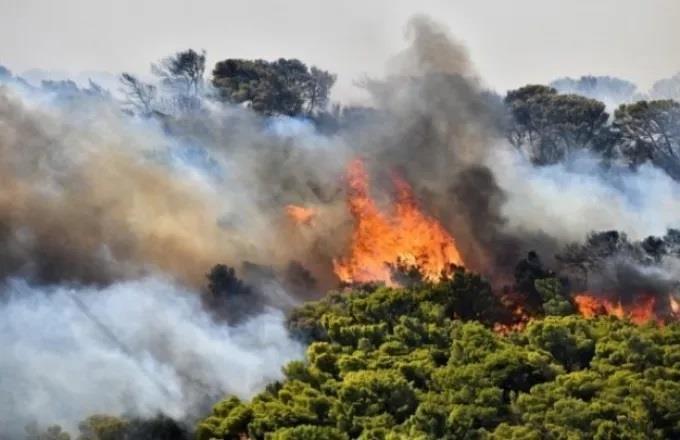 Fires