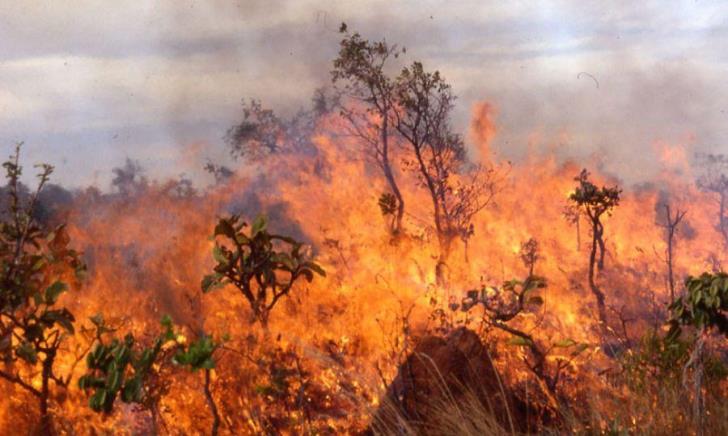 Fires