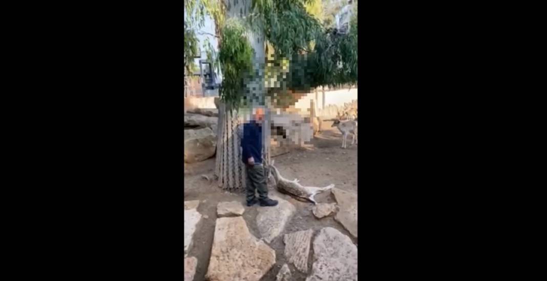 Deer Limassol Zoo Death