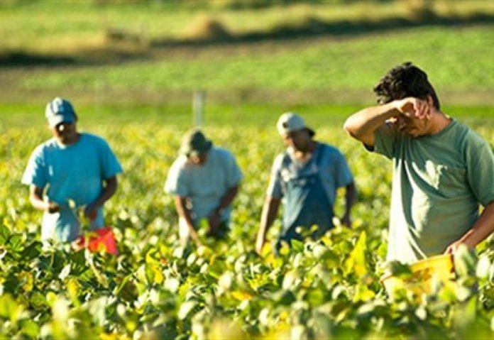 Labourers