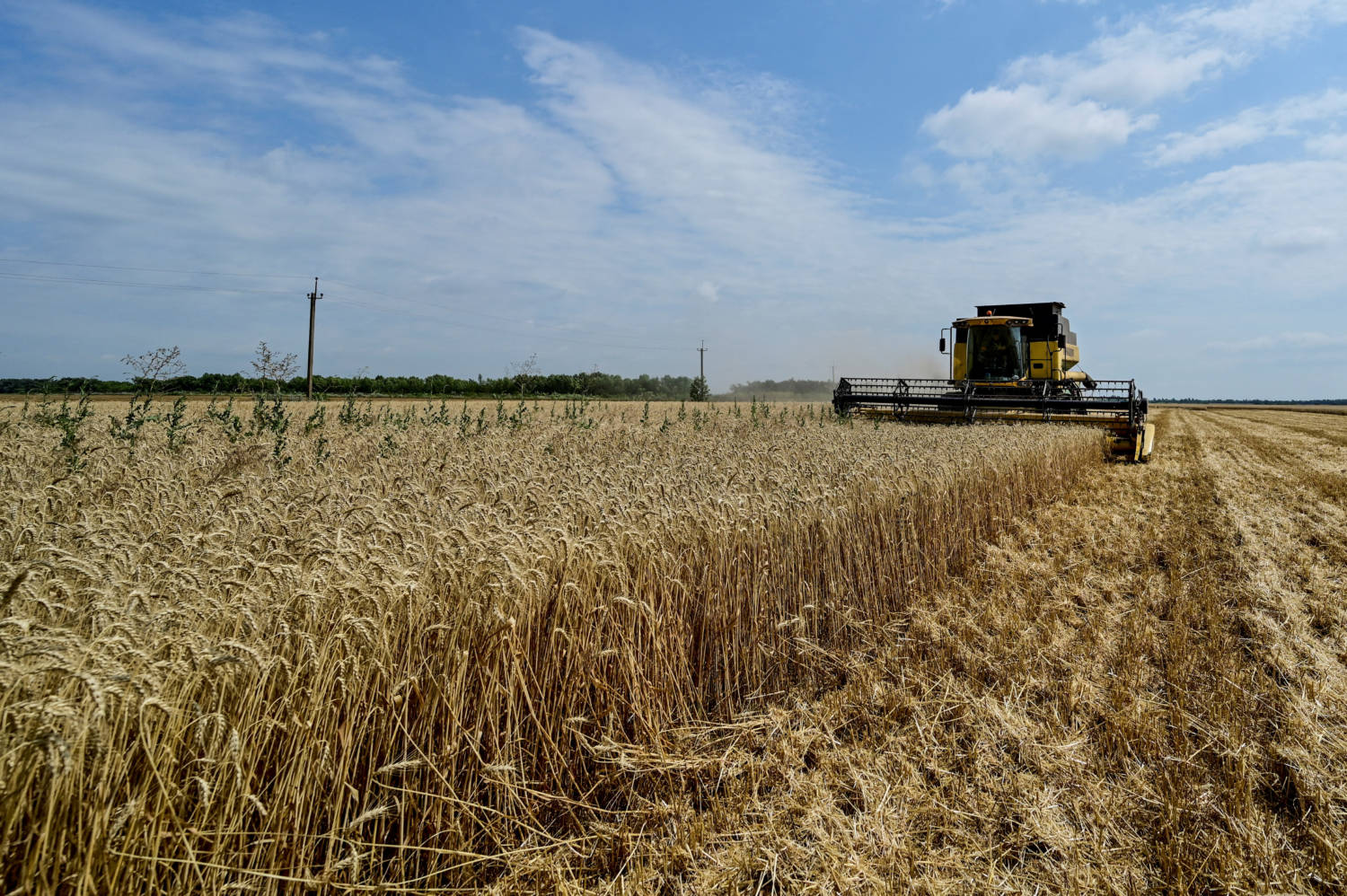 Farming In Ukraine Ukraine's farmers pin hopes on export corridor as war cost mounts | en ...