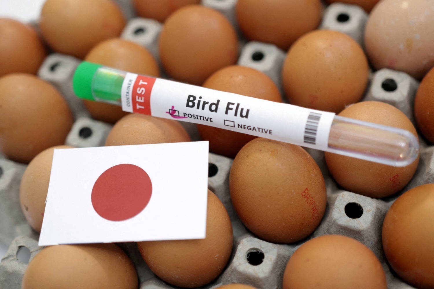 File Photo: Illustration Shows Test Tube Labelled 