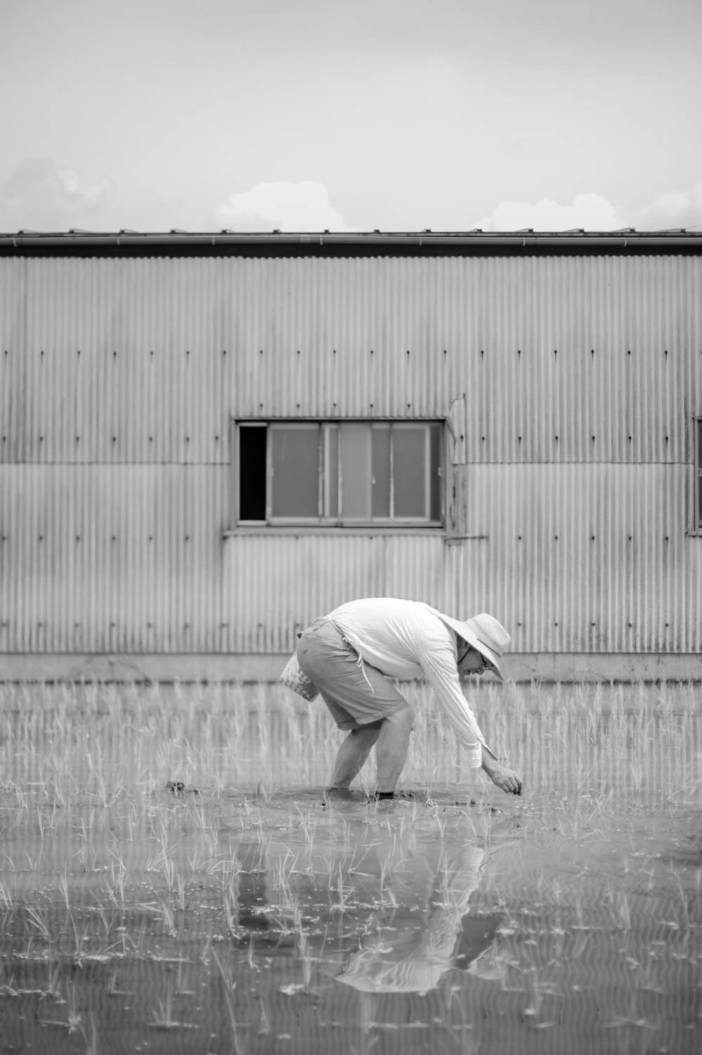 Field Workers Ii