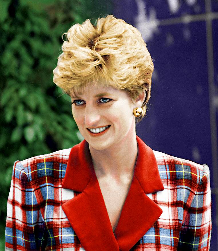 Princess Diana At Accord Hospice