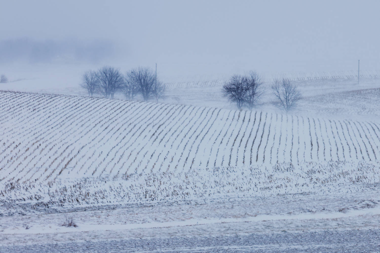 Arctic cold envelops US during holiday weekend, disrupting Iowa ...
