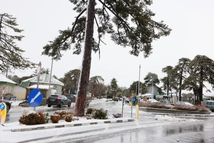 Troodos Snow