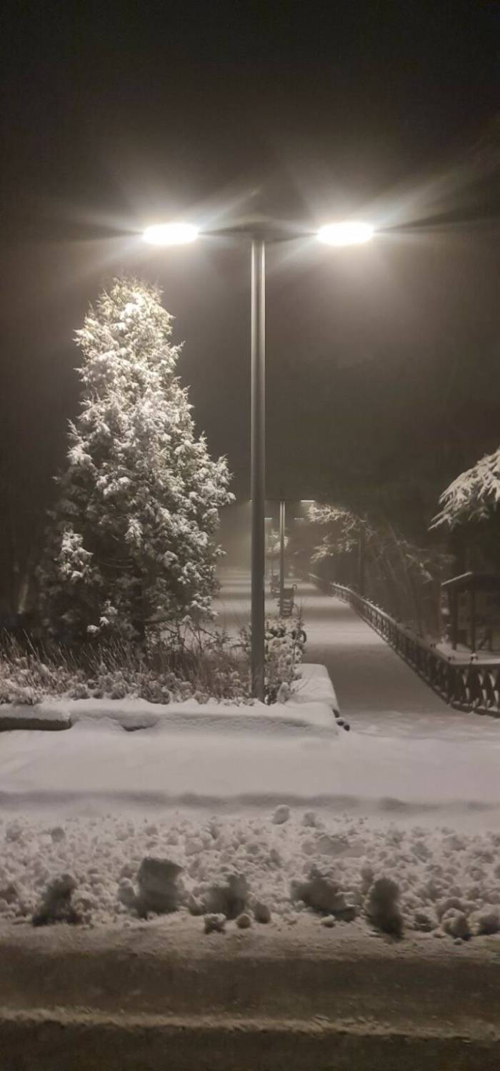 Image 123650291 1 717x1536 1