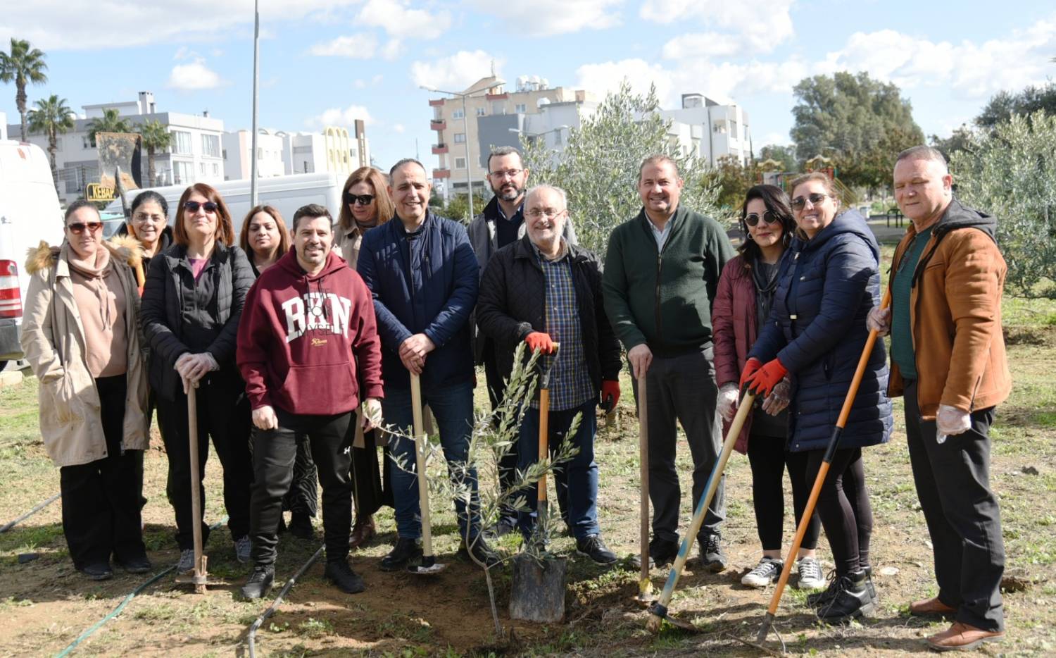 Olive Tree Planting 2