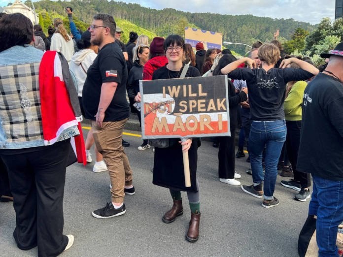 New Zealand national day protesters demonstrate for Indigenous rights ...