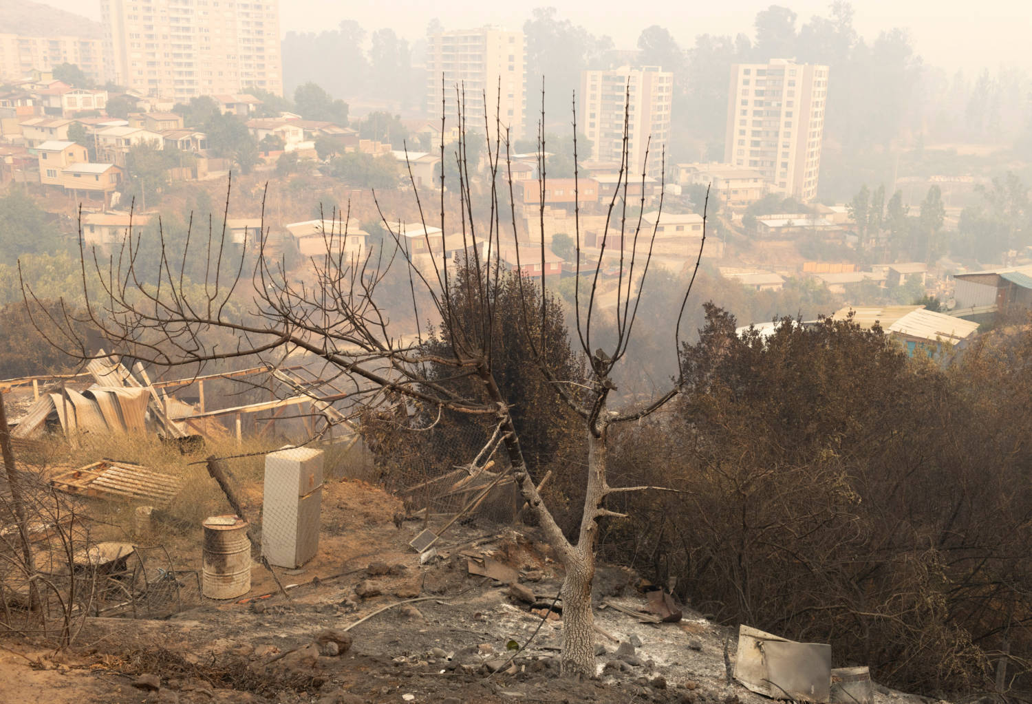 Raging Forest Fires Turn Deadly In Chile