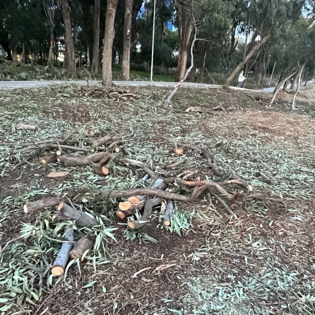 408878032 775941421230346 902295