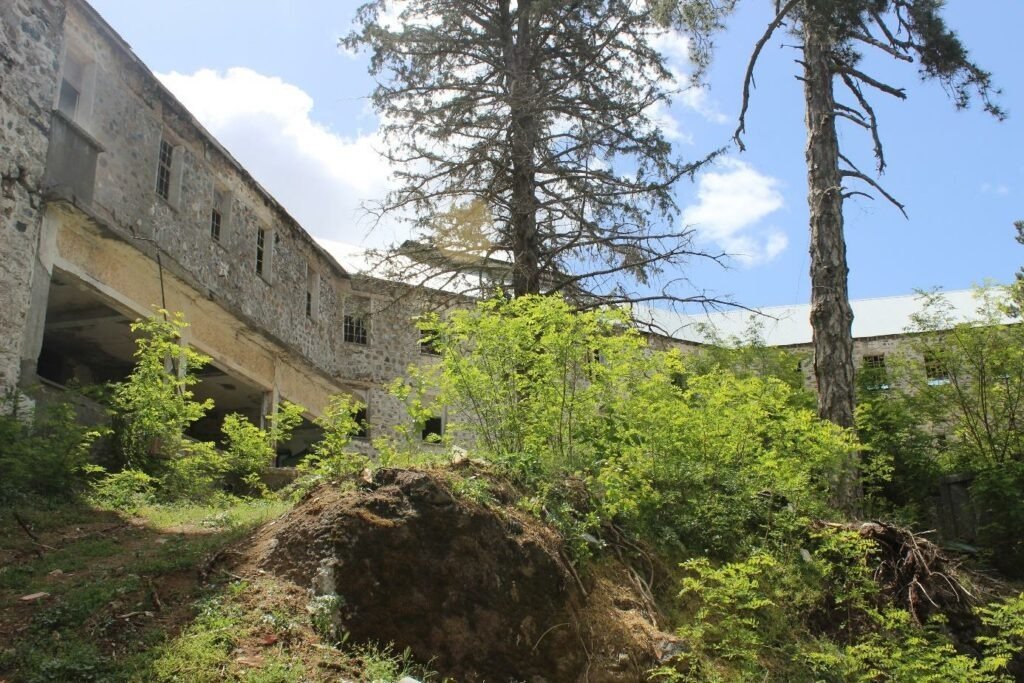 Berengaria 2