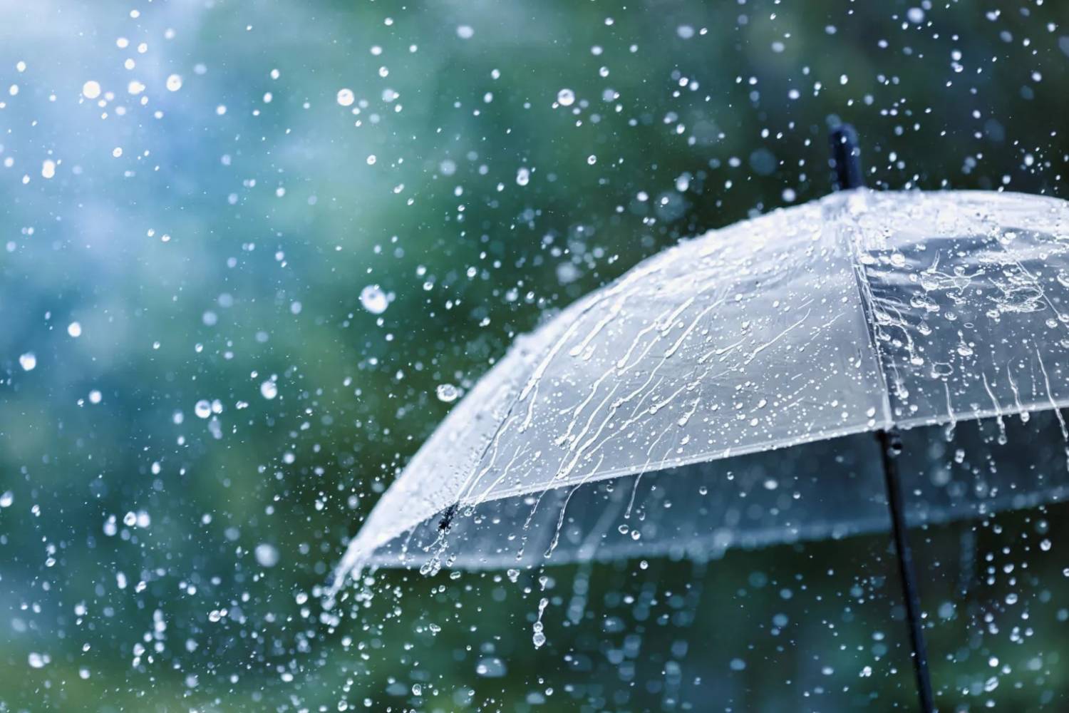 Rain Showers