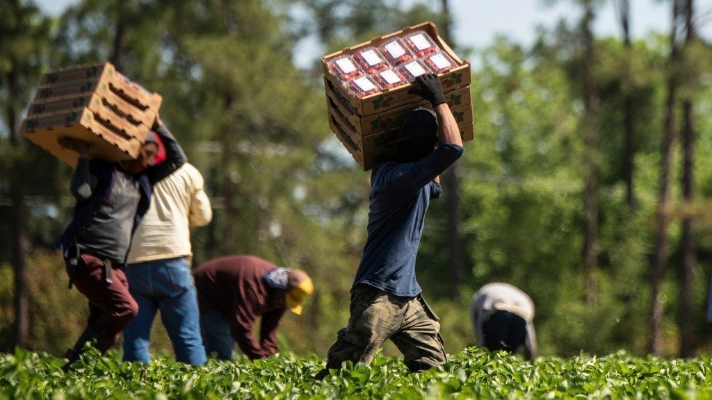 EU Parliament approves ban of products made with forced labour | en ...