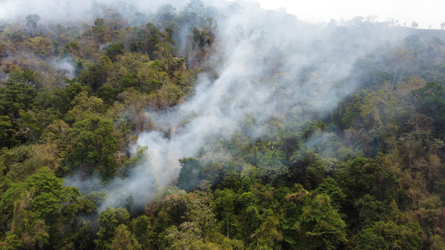 Venezuela Ravaged By Record Fires Amid Climate Driven Amazon Drought