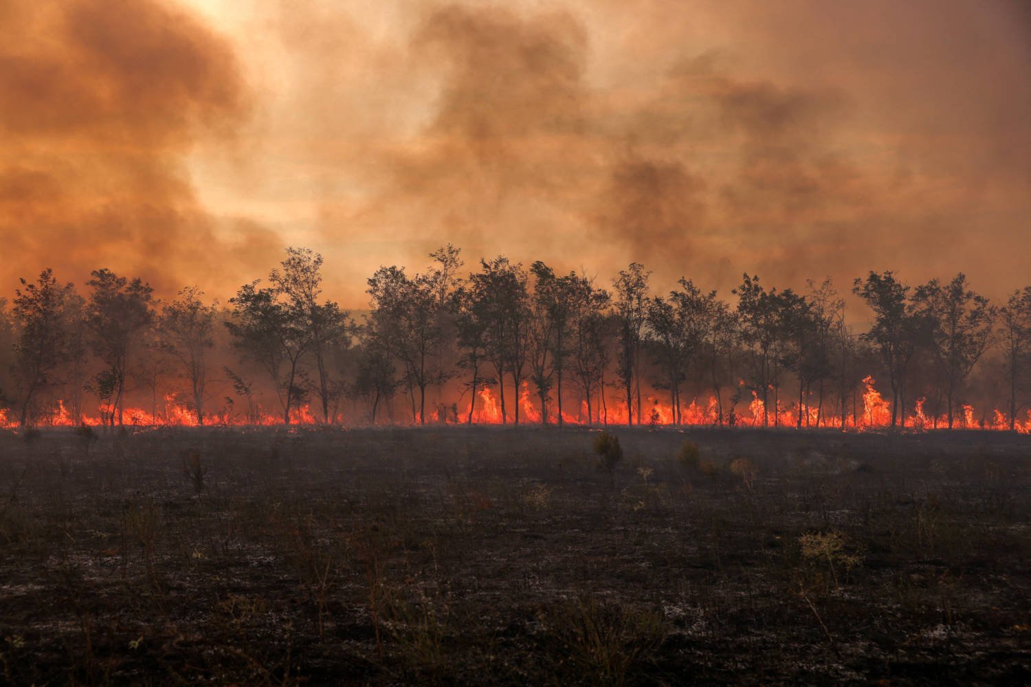 File Photo: 2023 In Photos: Extreme Climate