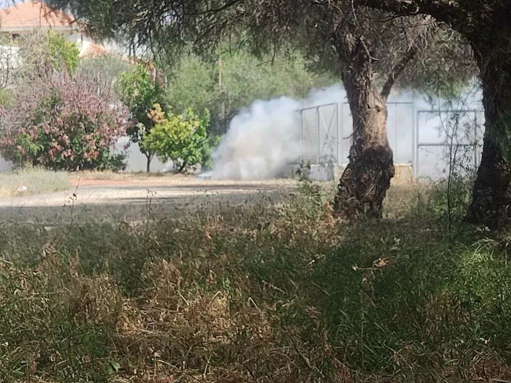 Agia Fyla School Fire