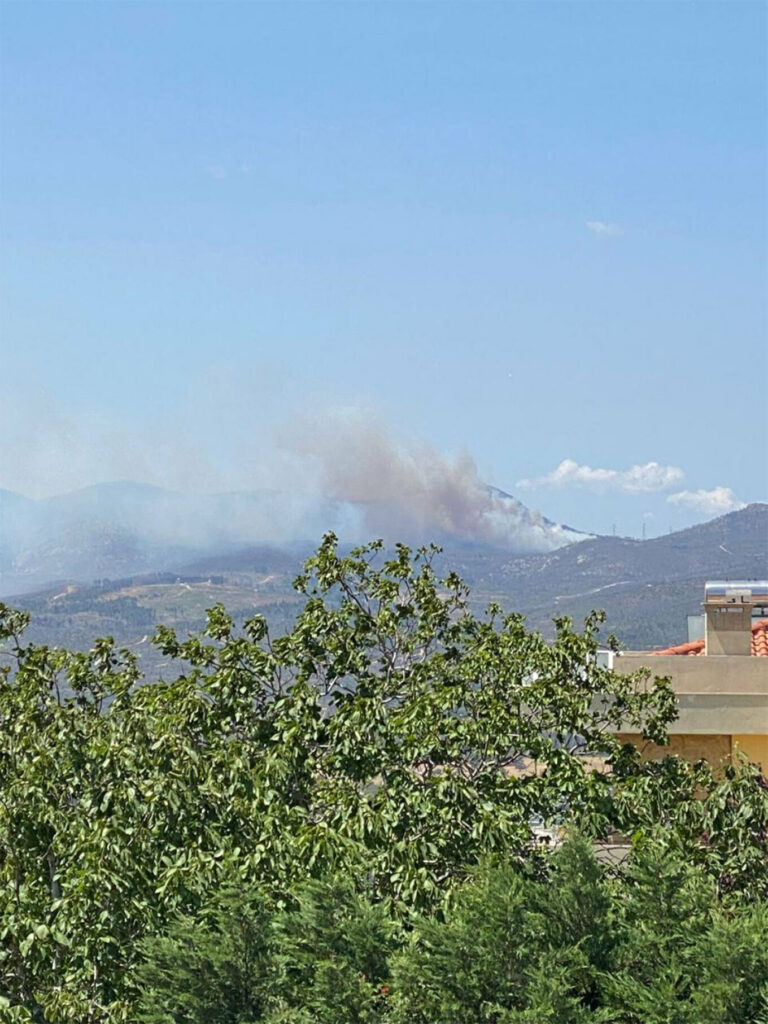Greece: Fire in the forest of Parnitha (pictures) | en.philenews.com