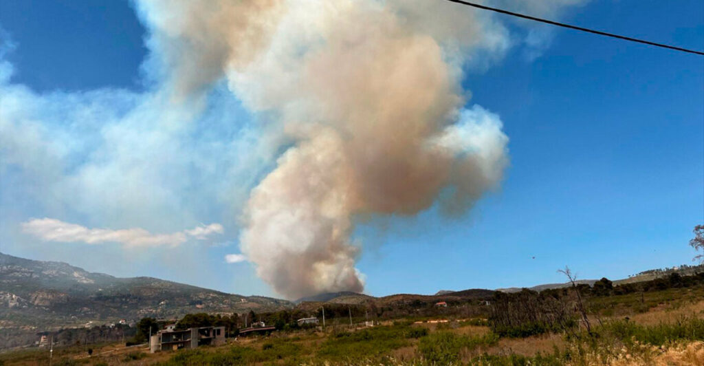 Greece: Fire in the forest of Parnitha (pictures) | en.philenews.com