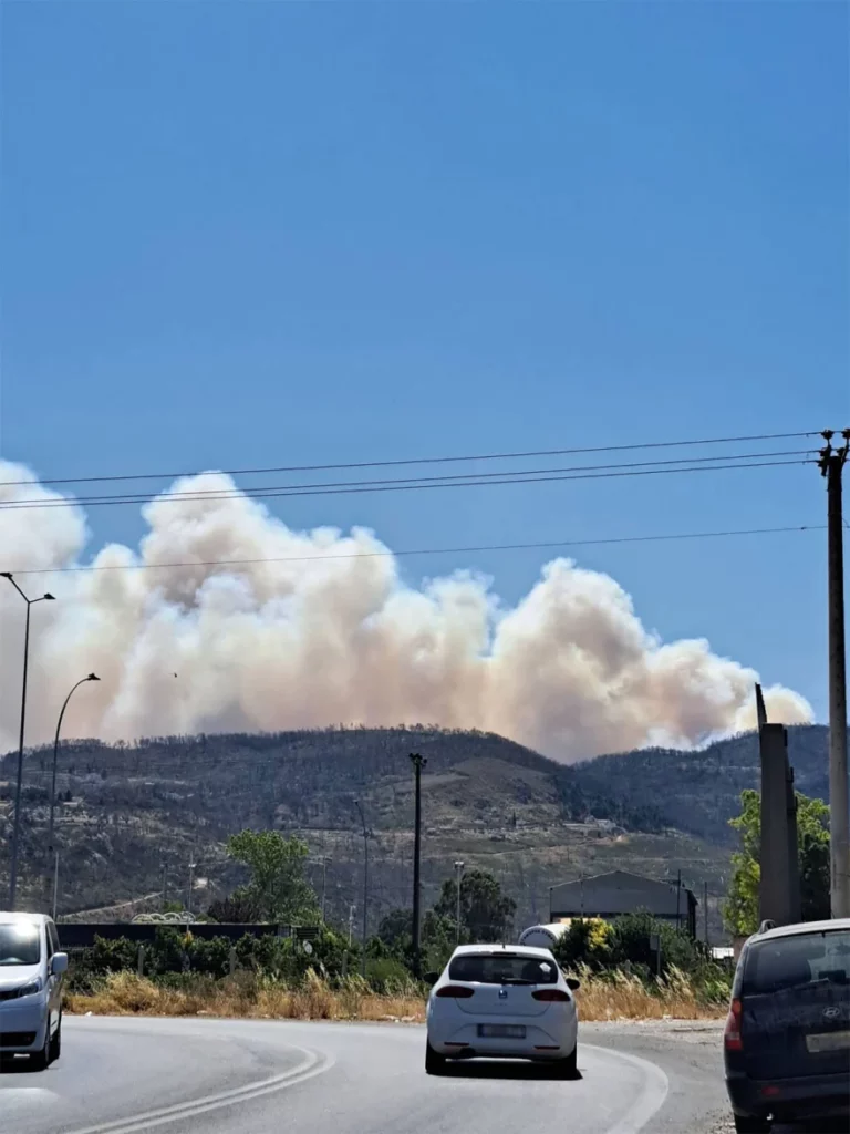 Greece: Fire in the forest of Parnitha (pictures) | en.philenews.com