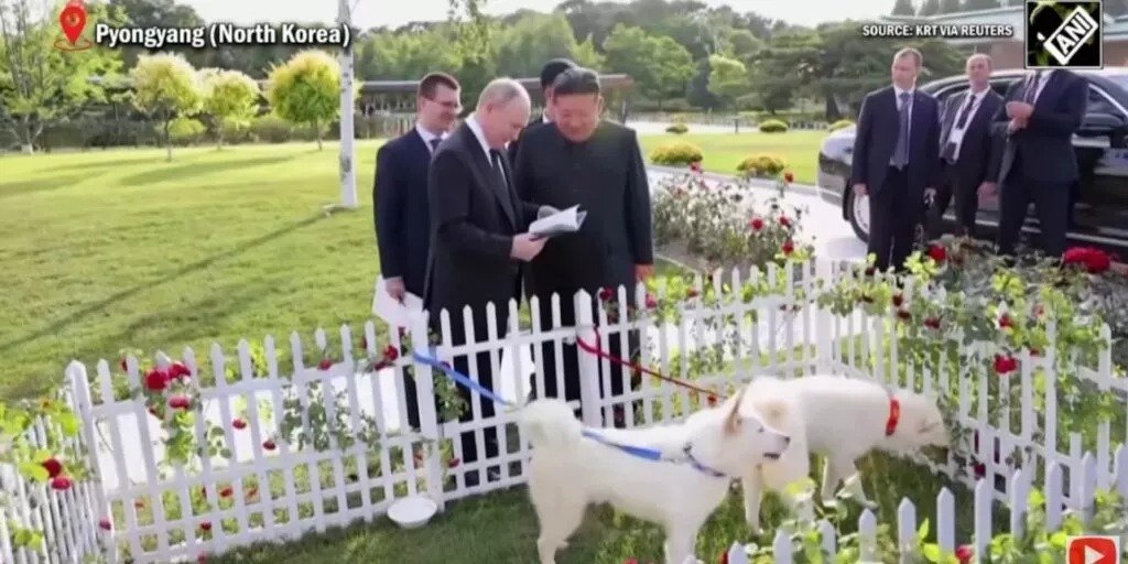 Kim Jong Un Putin Dogs North Korea