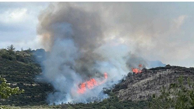 Fire burning through Paphos's Yiolou; evacuations underway [VIDEO] | en ...