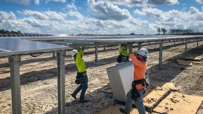 1,400 Trees To Be Cut For Construction Of Biggest Solar Park