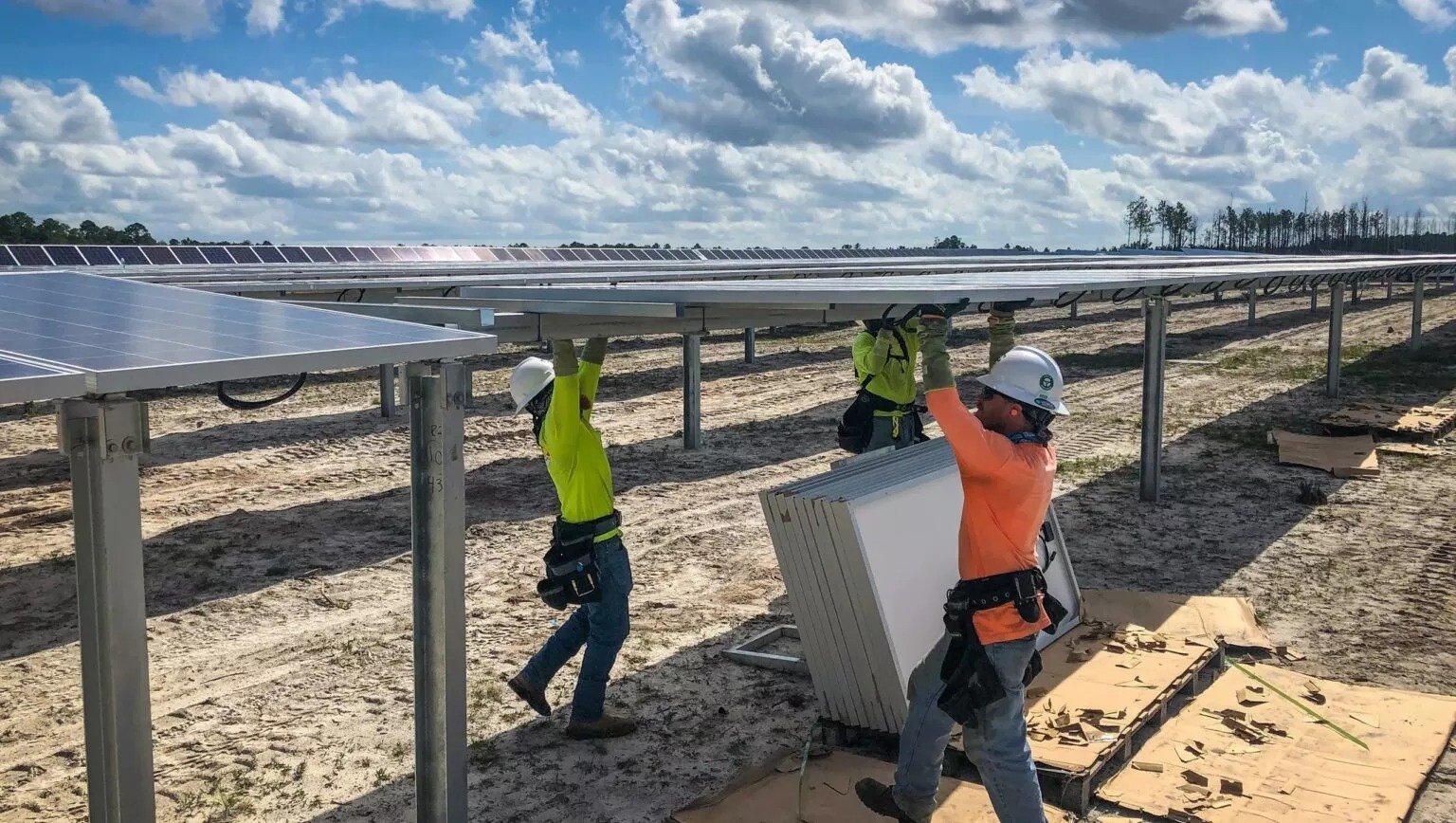 1,400 Trees To Be Cut For Construction Of Biggest Solar Park