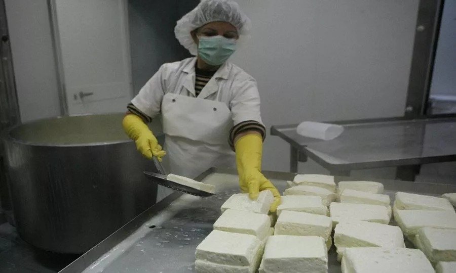 Changes In Sheep And Goat Milk Ratios For Halloumi