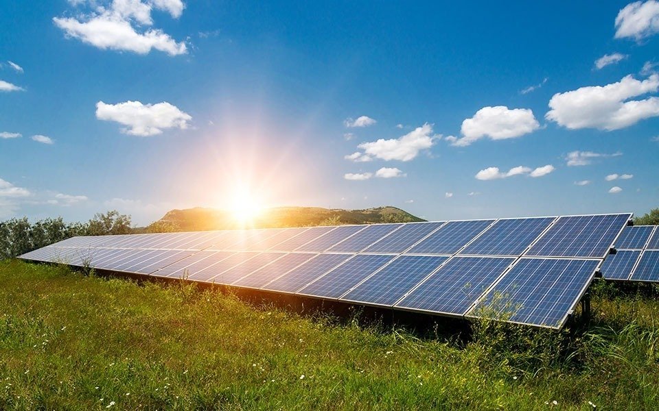 Environment Department Denies Plans To Cut 1,400 Pines For Solar Park
